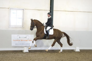 14. Grimeur-CharmeurxGribaldi-7