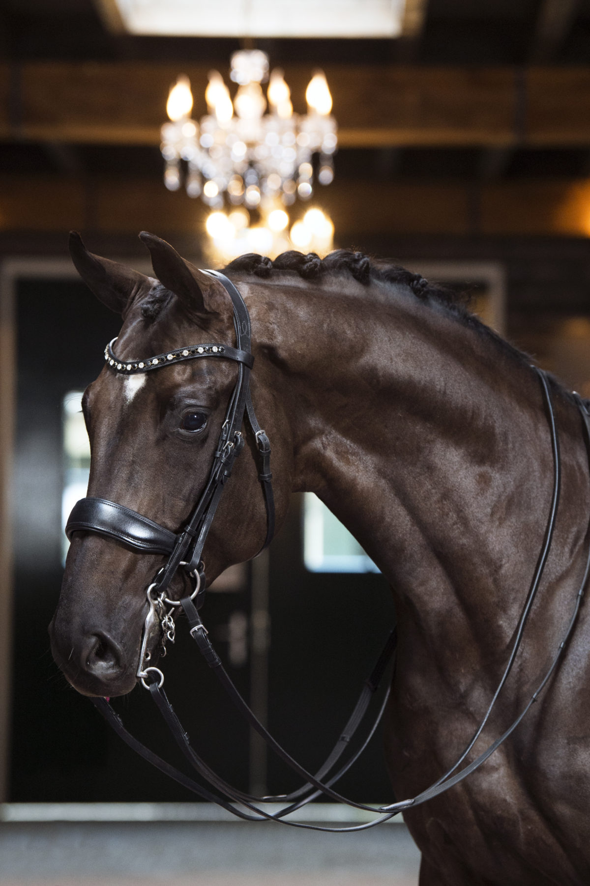 18. Furstblackdiamond-1