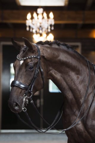 18. Furstblackdiamond-1