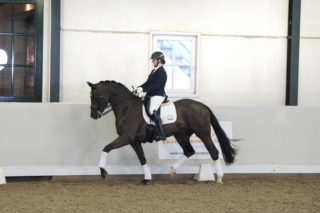 18. Furstblackdiamond-5