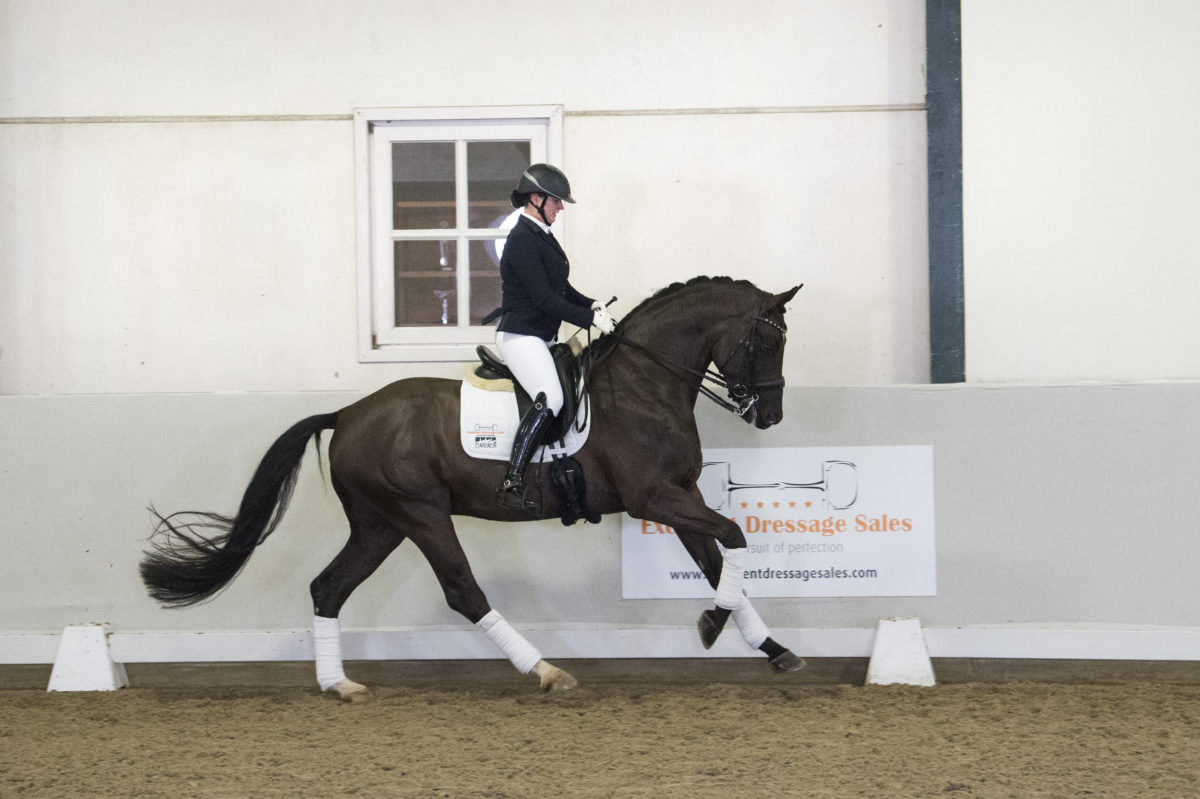 18. Furstblackdiamond-8