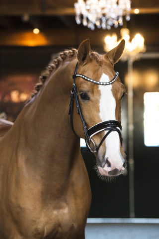 18. Kinetic-NegroxKrack-1