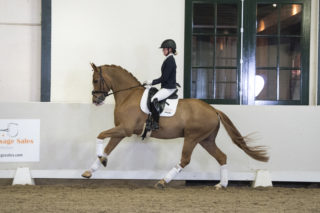 18. Kinetic-NegroxKrack-10