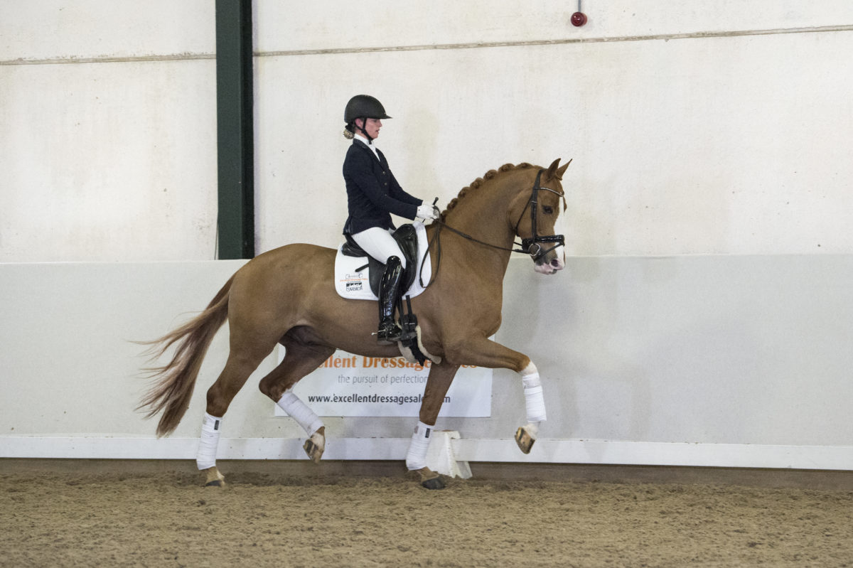 18. Kinetic-NegroxKrack-5