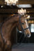 19. Floris-1