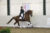 19. Floris-4