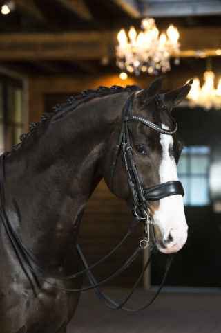 2. Forjoy-Feedback-1