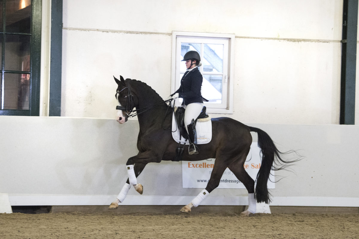 2. Forjoy-Feedback-2