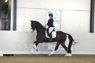 2. Forjoy-Feedback-2