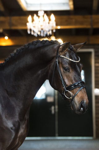 2. Miljonair-DailydiamondxDreamboy-1