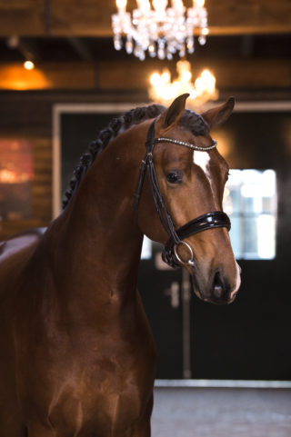 2. Mrjones-FranklinxEverdale-1