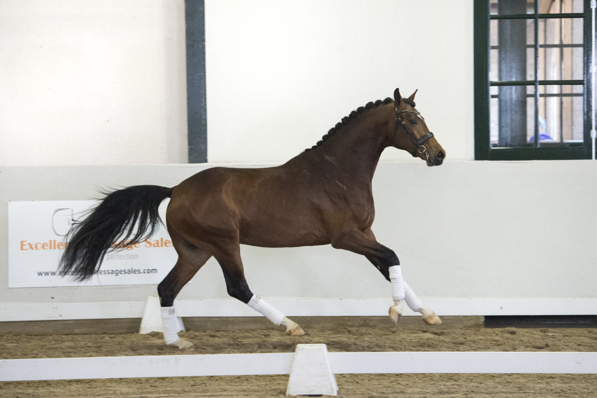 2. Mrjones-FranklinxEverdale-5