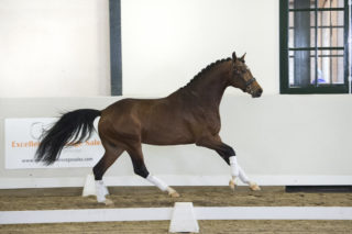 2. Mrjones-FranklinxEverdale-5