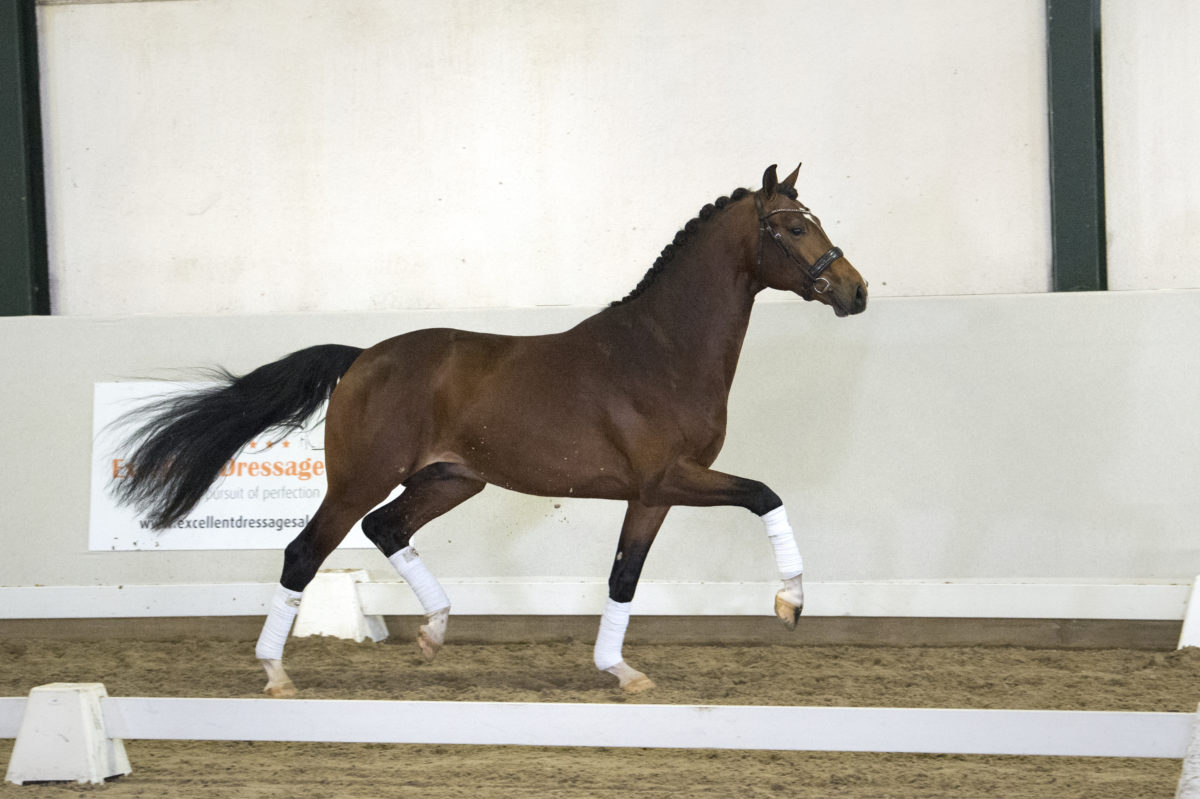 2. Mrjones-FranklinxEverdale-7