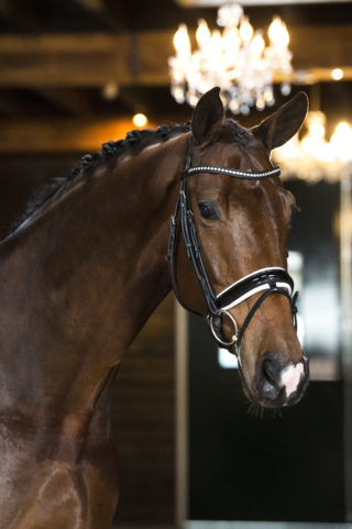 3. Jack-Lordleatherdale-1