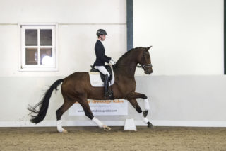 3. Jack-Lordleatherdale-10