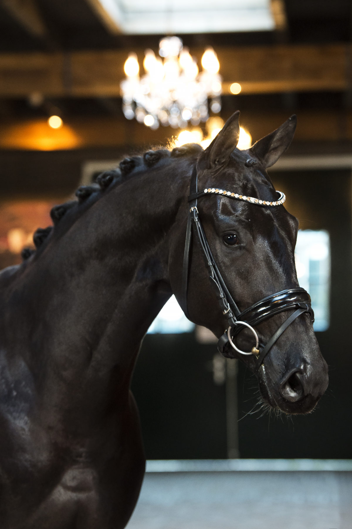 3. Maradonna-DeniroxWestpoint-1