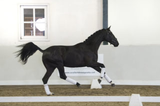 3. Maradonna-DeniroxWestpoint-6