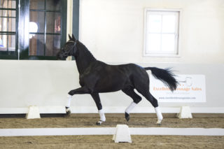 3. Maradonna-DeniroxWestpoint-8