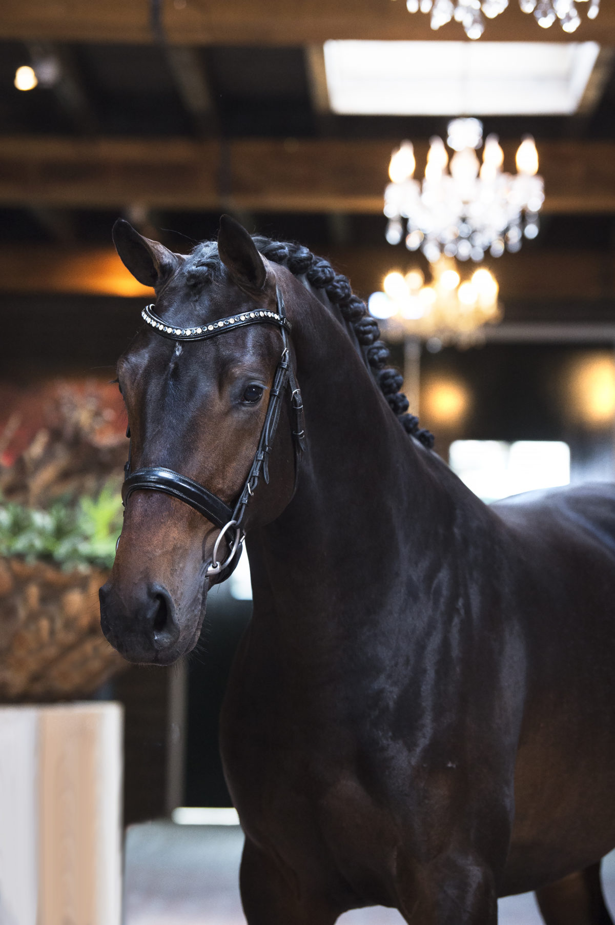 5. Moscow-DreamboyxPolansky-1