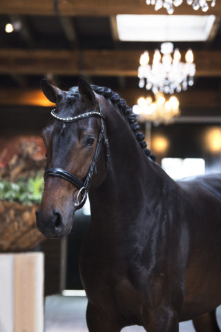 5. Moscow-DreamboyxPolansky-1