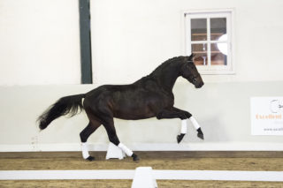 5. Moscow-DreamboyxPolansky-2