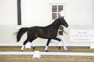 5. Moscow-DreamboyxPolansky-4