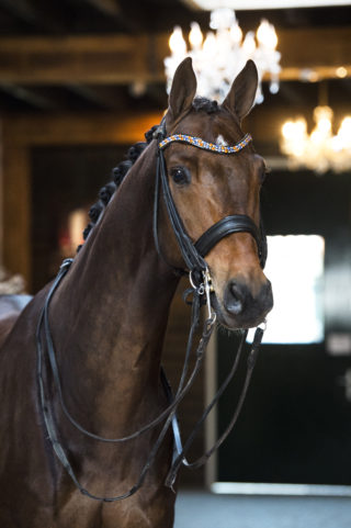 6. Facendo-Fidertanz-1