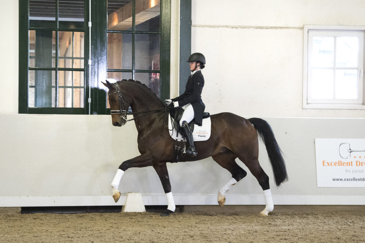 6. Facendo-Fidertanz-4