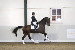 6. Facendo-Fidertanz-8