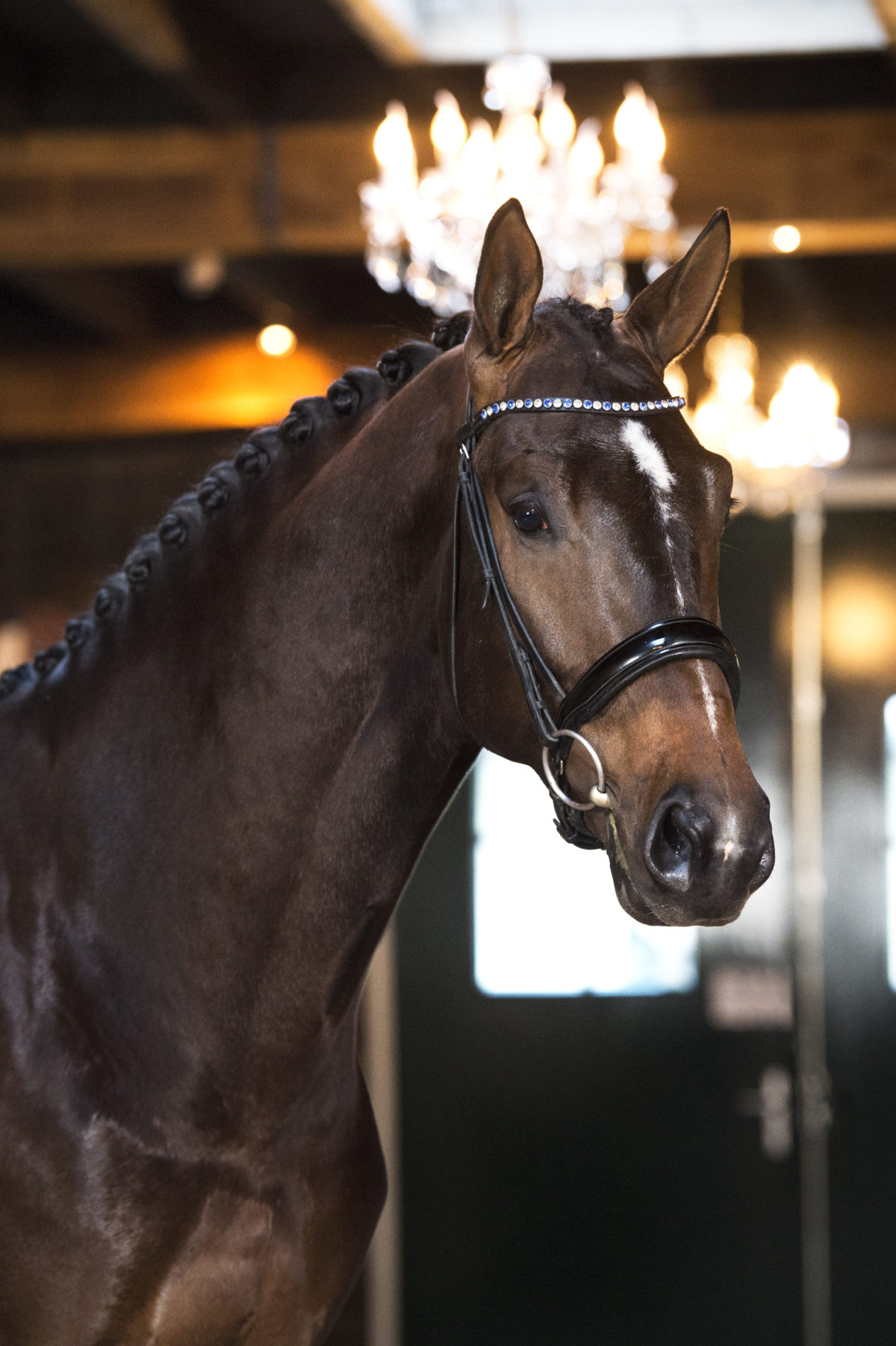 6. Mainstream-TotalxVivaldi-1