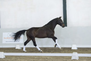 6. Mainstream-TotalxVivaldi-2