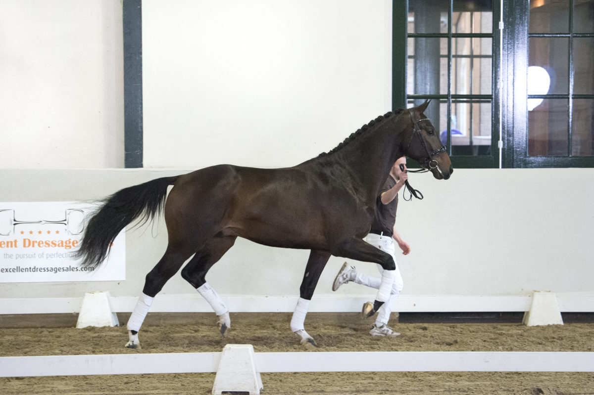 6. Mainstream-TotalxVivaldi-7