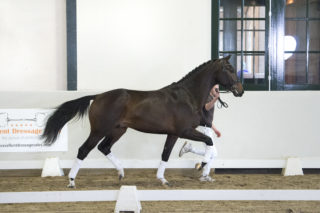 6. Mainstream-TotalxVivaldi-7