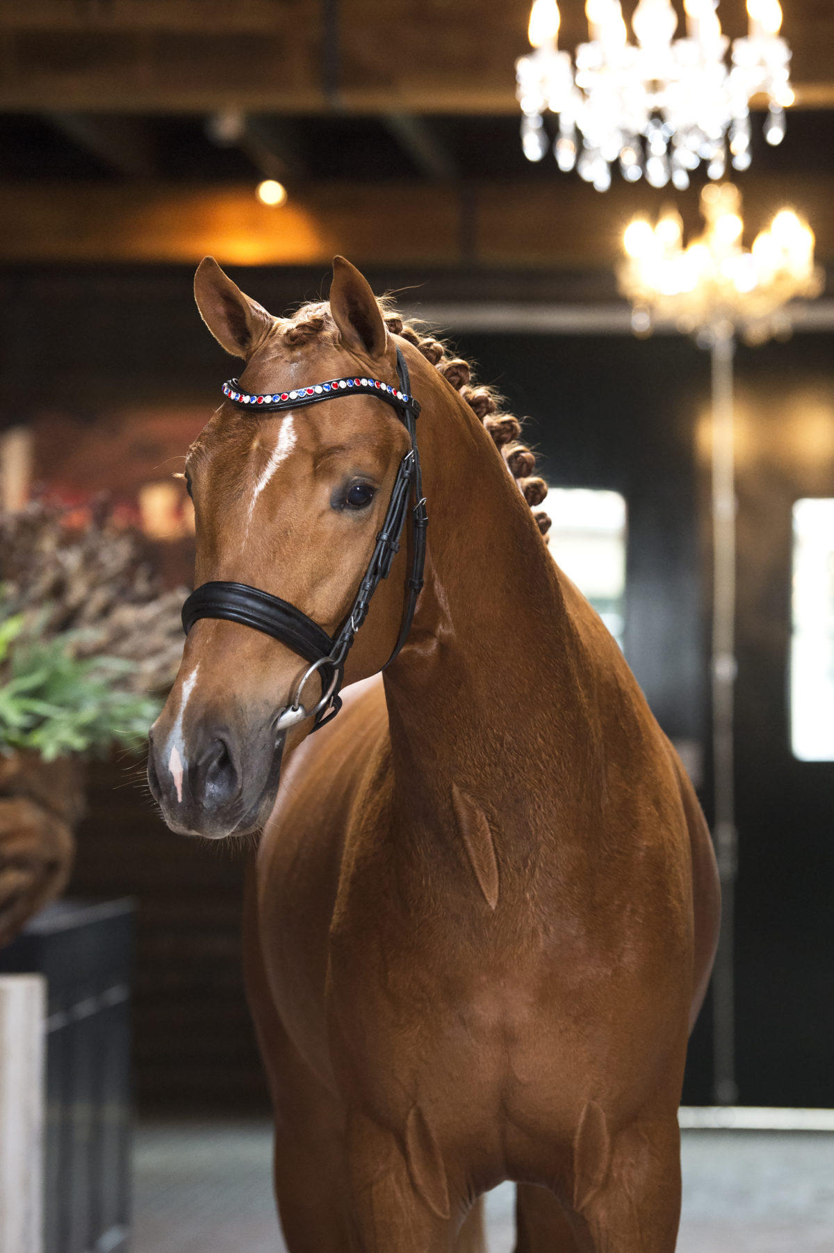 6. Manhattan-DreamboyxSirsinclair-1