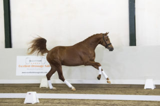 6. Manhattan-DreamboyxSirsinclair-2