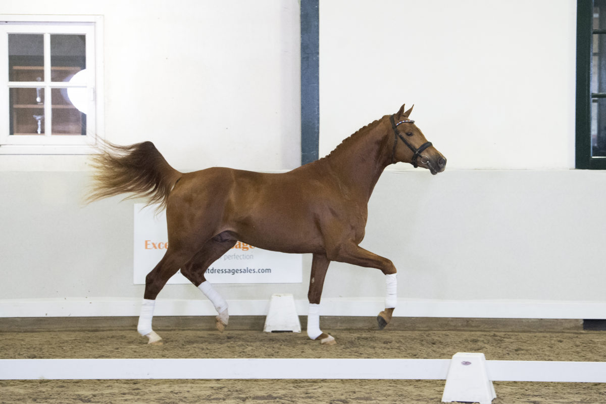 6. Manhattan-DreamboyxSirsinclair-7