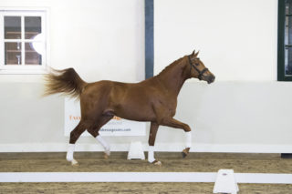 6. Manhattan-DreamboyxSirsinclair-7