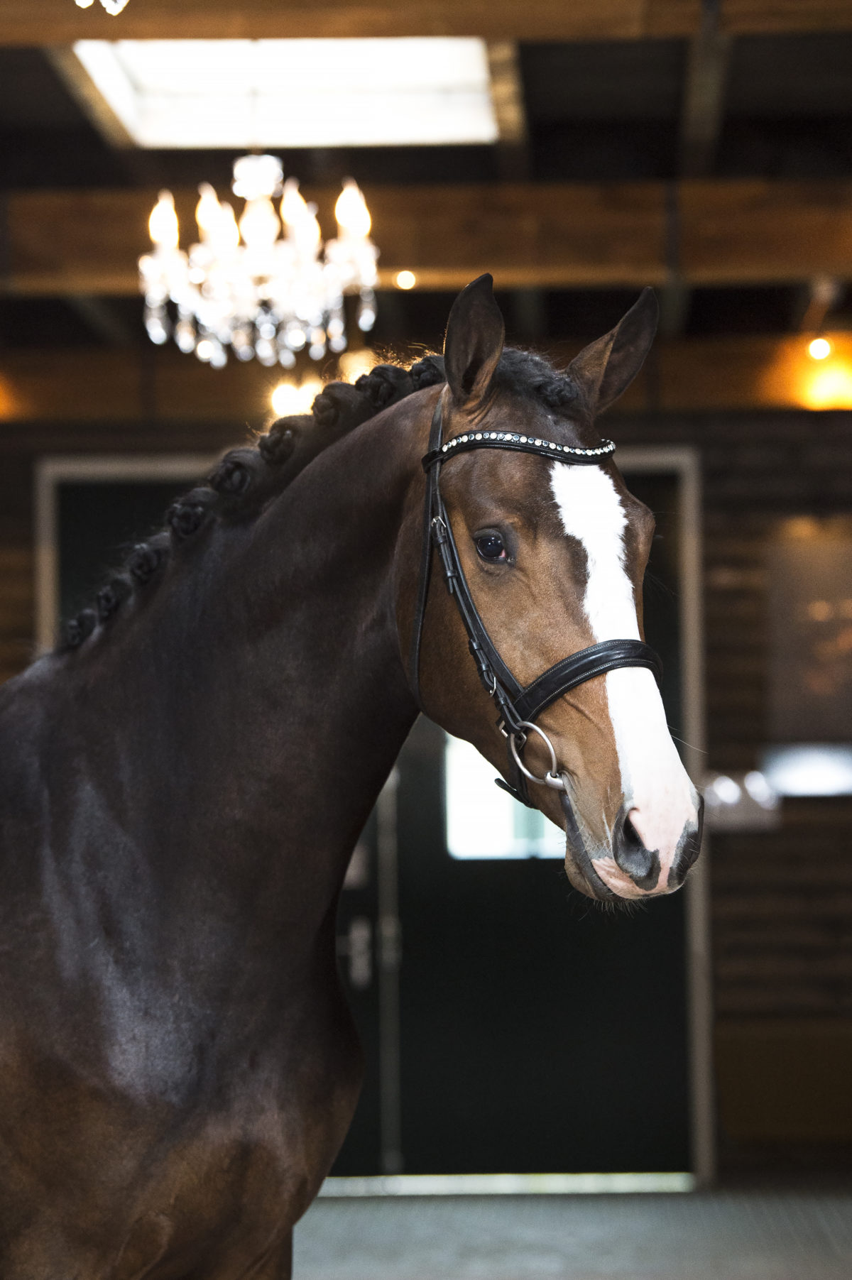 7. Mccloud-BrettonwoodsxOsmium-1