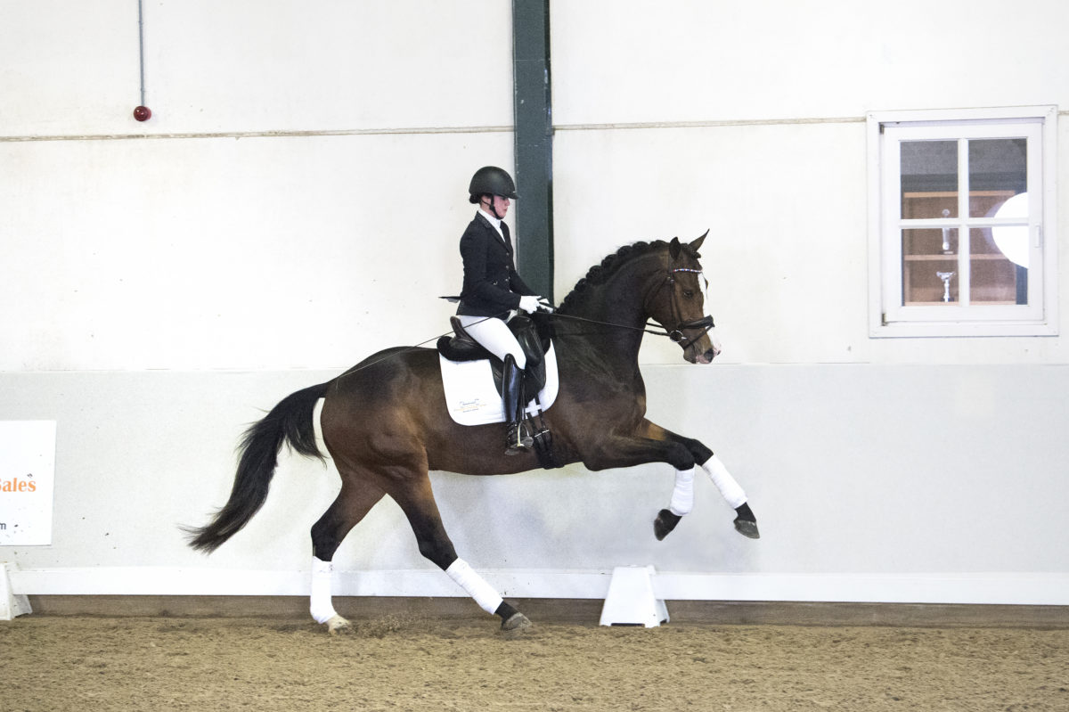 7. Mccloud-BrettonwoodsxOsmium-2