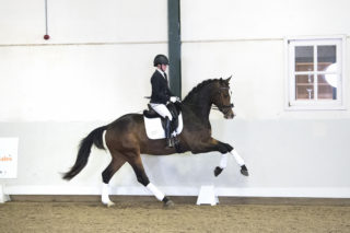 7. Mccloud-BrettonwoodsxOsmium-2