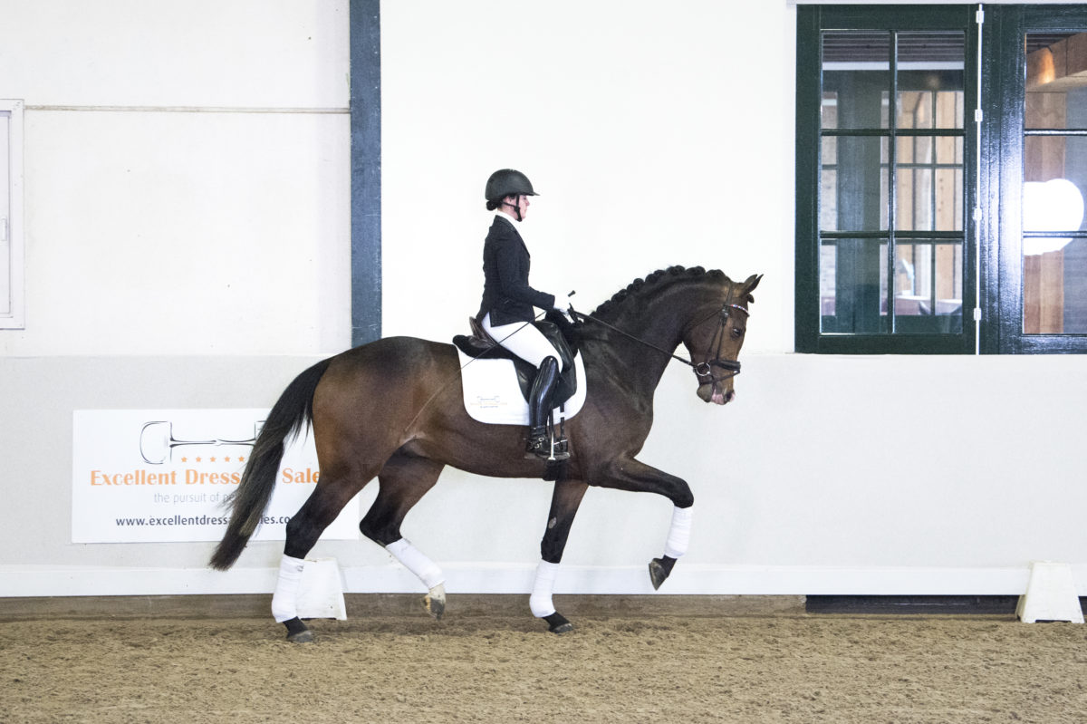 7. Mccloud-BrettonwoodsxOsmium-3