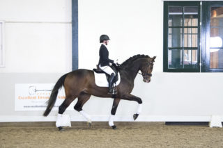 7. Mccloud-BrettonwoodsxOsmium-3