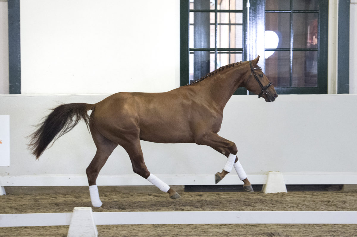 7. Mydaily-DailydiamondxScandic-5