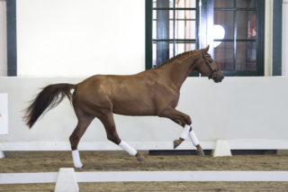 7. Mydaily-DailydiamondxScandic-5