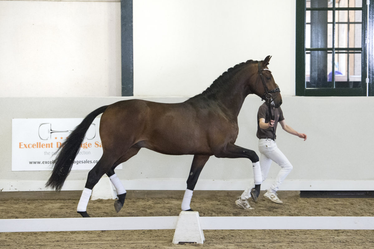 8. Freestyler-Furstjazz-2