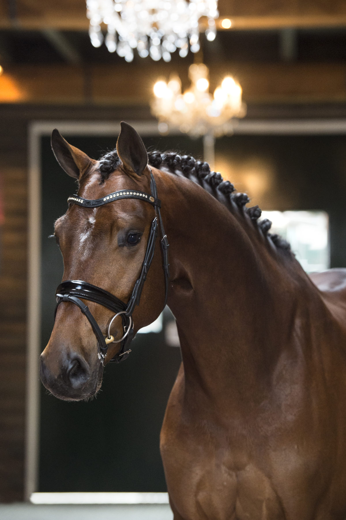 8. NegroxFlorencio-1