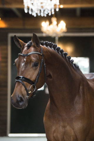 8. NegroxFlorencio-1