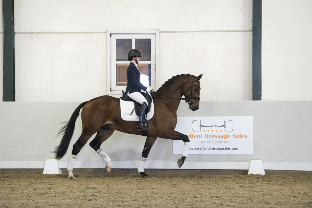 8. NegroxFlorencio-8