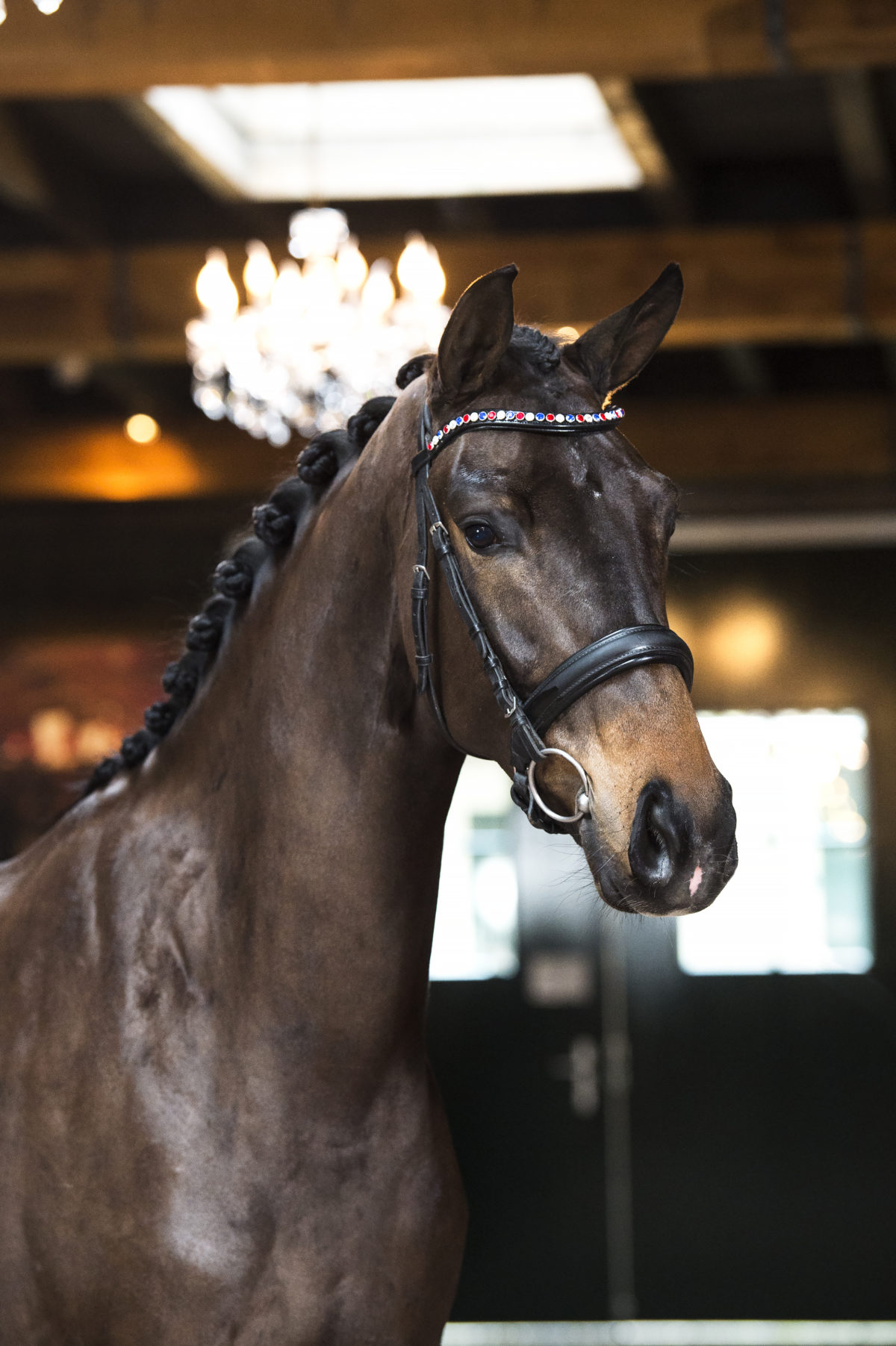 9. Melrose-DreamboyxSpielberg-1